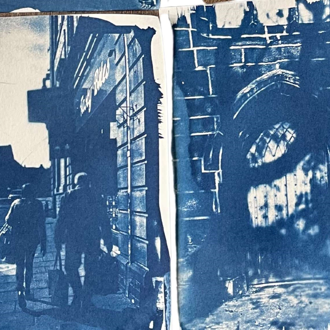 Cyanotype artwork, blue print